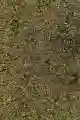 Zanęta AMUR XXL Feeder Bait method mix 800g