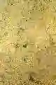 Zanęta GREEN SELECT Feeder Bait method mix 800g
