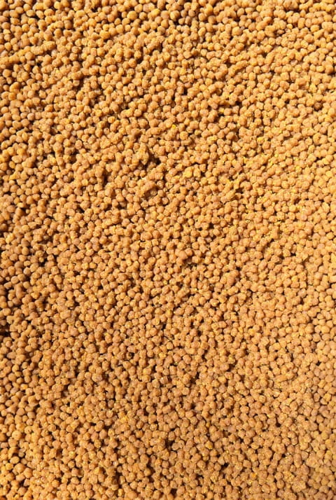 Zanęta DYNAMIC CORN NATURAL Feeder Bait method mix 800g