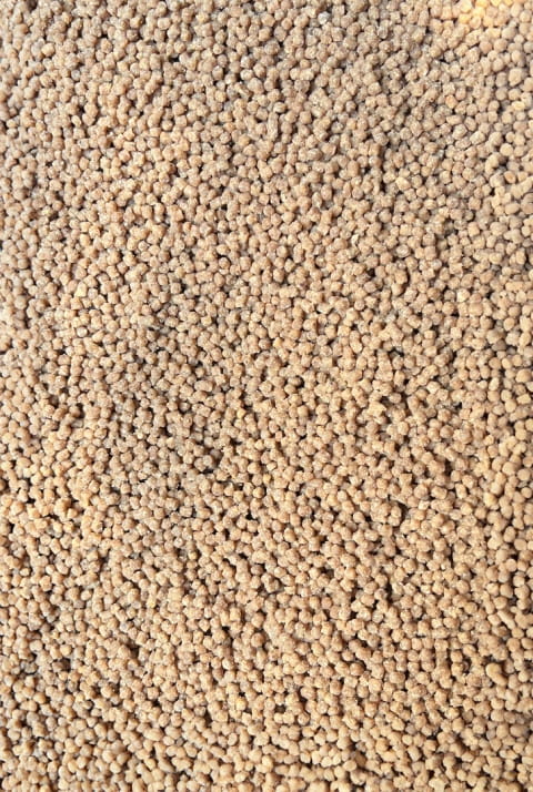 Zanęta DYNAMIC CORN NATURAL Feeder Bait method mix 800g