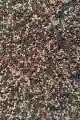 Feeder Bait pellet 4mm Halibut GREEN BLACK RED method feeder
