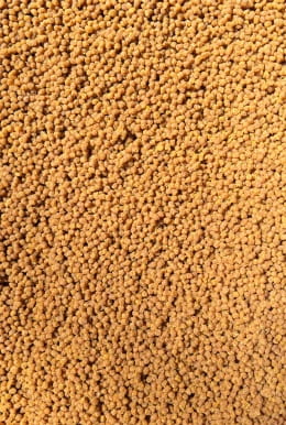 Feeder Bait pellet 4mm Halibut GREEN BLACK RED method feeder