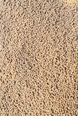 Feeder Bait pellet 2mm gotowy ORZECH TYGRYSI w wiaderku method feeder