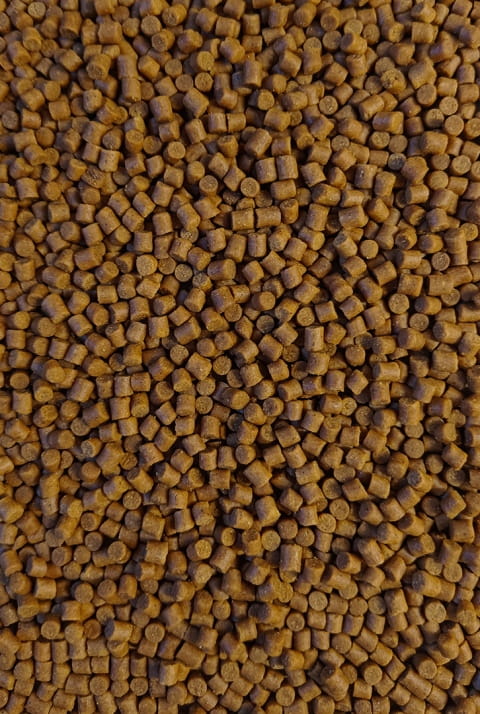 Feeder Bait pellet 2mm gotowy SWEET CORN w wiaderku method feeder