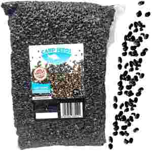 KONOPIE zanetowe 1kg Carp Seeds gotowe ziarna wędkarskie