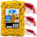 Kukurydza naturalna TRUSKAWKA 1kg Carp Seeds gotowe ziarna wędkarskie