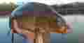 70b9039ac15b9302e2cfe7c9c6df6dfe