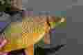 185eacd374471bc27dca0099db891857