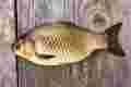 9df2441ead0273347b069bad3c3e7e05
