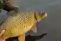 a9ad2805c6b3d1f0b3afc53e14b6933c