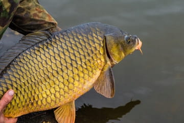 58cb2119cf67dee3c30e537860e58d99