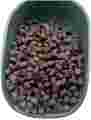 ALLER AQUA MASTER 3mm Pellet wędkarski zanętowy tonący method feeder 1kg