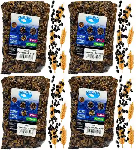 4x Ziarna zanętowe gotowe karpiowe PSZENICA KONOPIA MIKS P 1kg Carp Seed