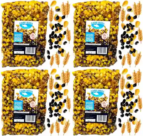 4x Ziarna zanętowe gotowe KONOPIA KUKURYDZA PSZENICA MIKS A 1kg Carp Seed