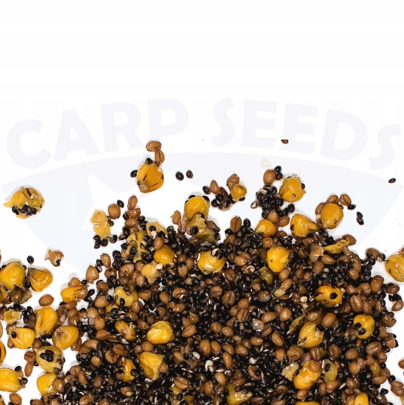 4x Ziarna zanętowe gotowe KONOPIA KUKURYDZA PSZENICA MIKS A 1kg Carp Seed